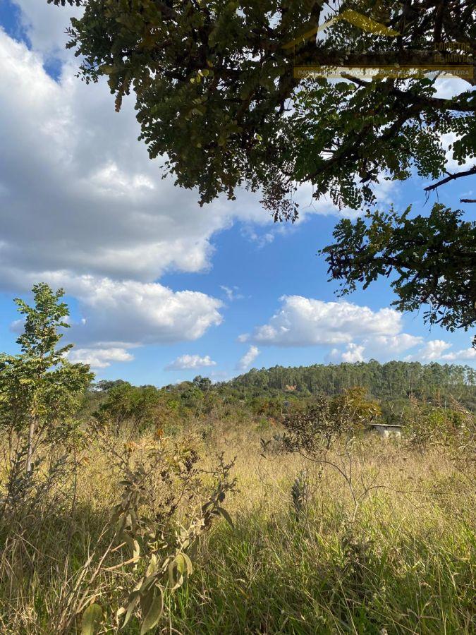 WhatsApp Image 2025-07-03 at 09.53.00.jpeg